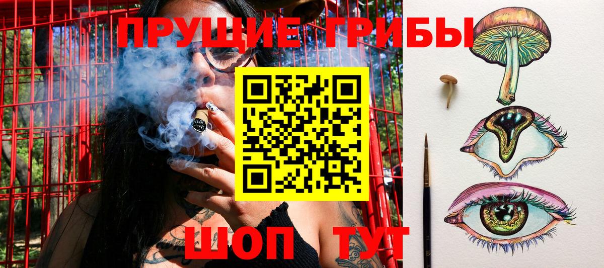 Галлюциногенные грибы Magic Shrooms  Вход с VPN  Москва 
