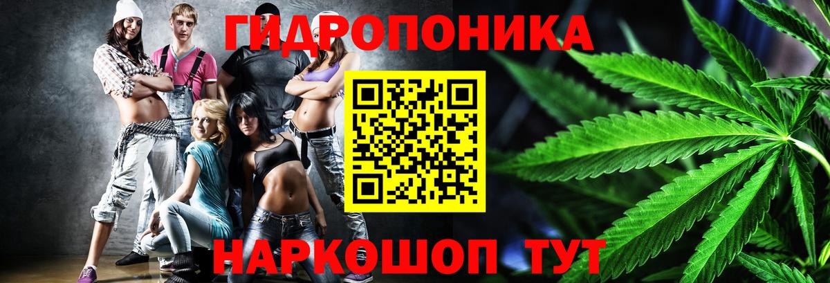 Конопля ГИДРОПОН  Шишки марихуана White Widow  Бошки Шишки White Widow  Вход с VPN  Москва 